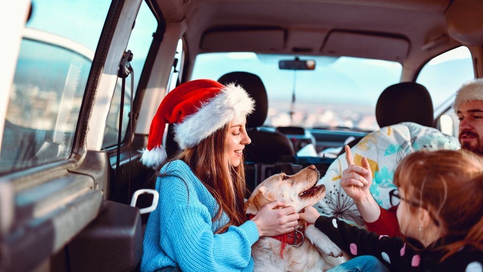 Pet Care When On Vacation: Easy Tips for a Worry-Free Trip
