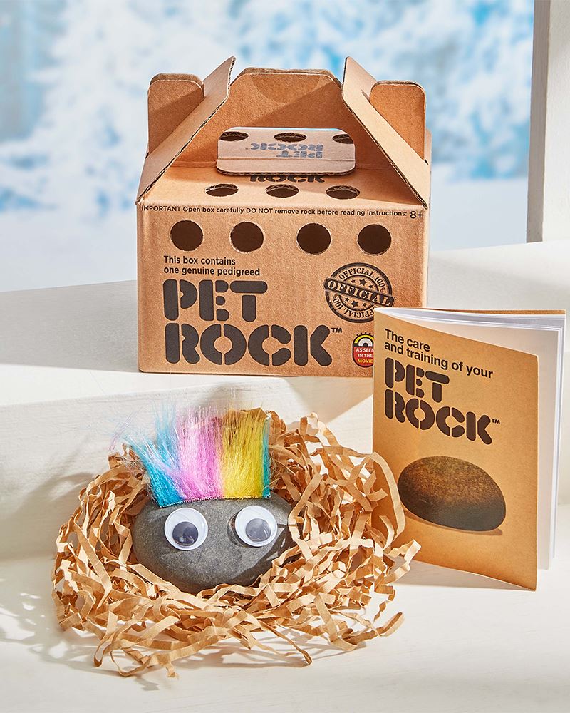 Pet rock supplies: what you need for your new pet rock (Get all the essentials you need)