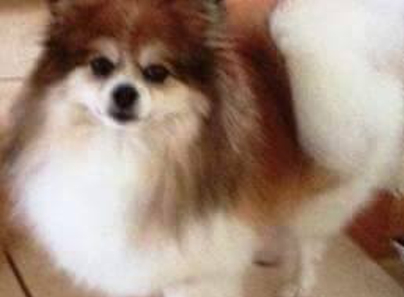 Tim and Lynns Country Pet Care: Where Pets Feel Loved