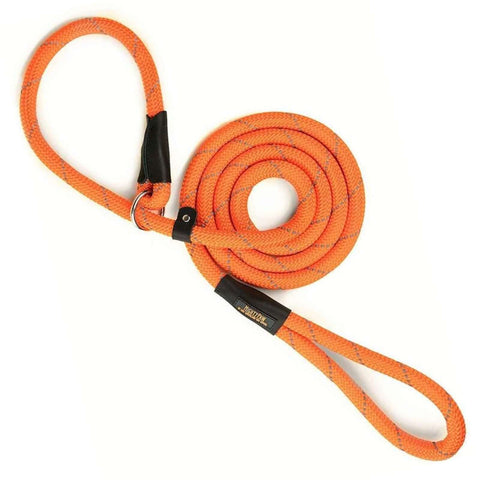 What is a Rope Slip Dog Leash? Heres Everything You Need to Know!