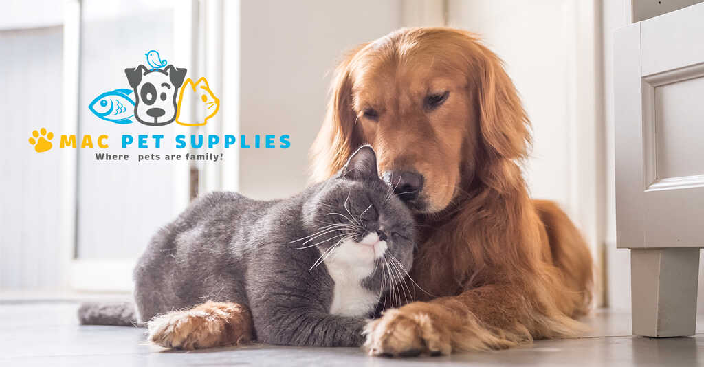 Macs Pet Supply: Affordable Prices and Top-Notch Customer Service