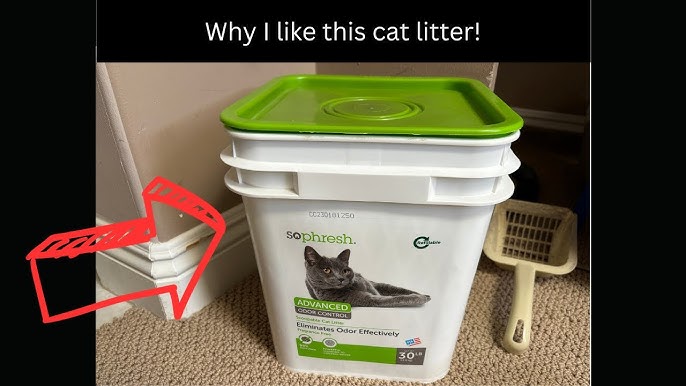 Is Sophresh cat litter worth the hype? We put it to the test!