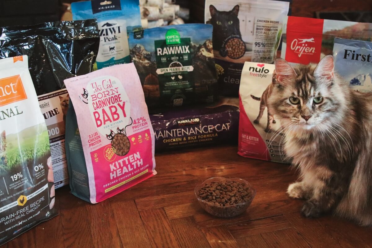 Discover the Top-Rated Cat Food Hard Options Your Cat Will Love