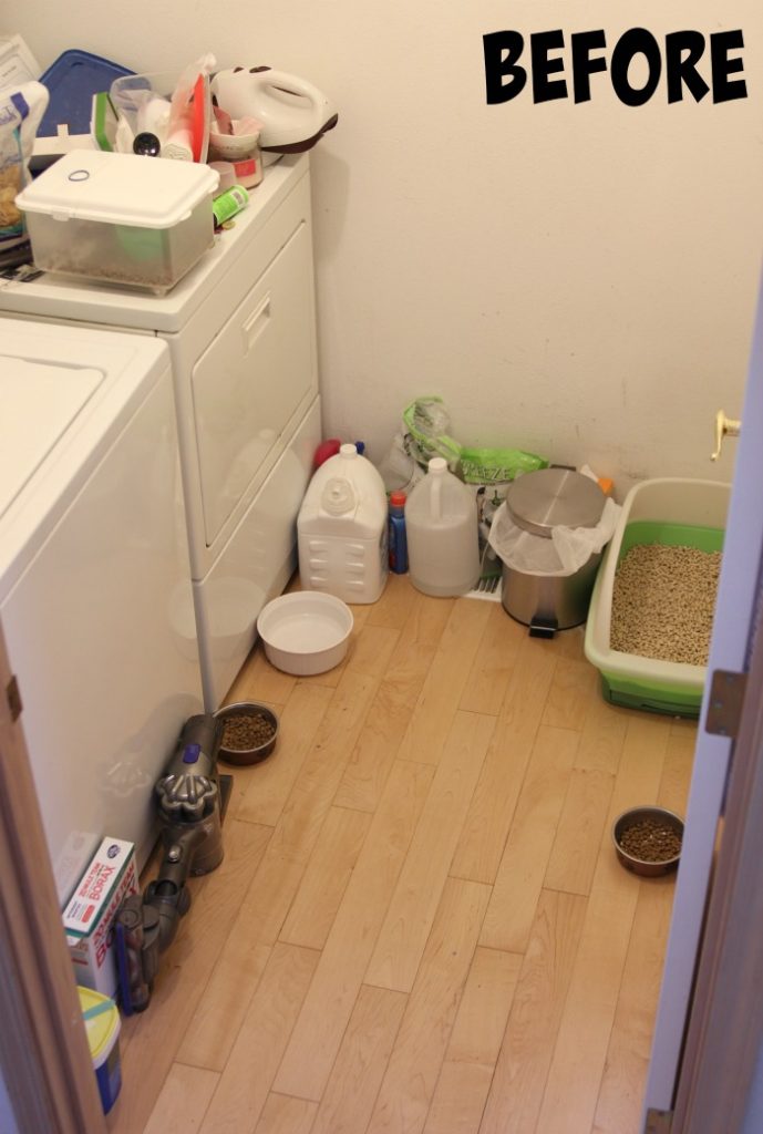 Laundry Room Cat Litter Box Setup: What You Need to Know