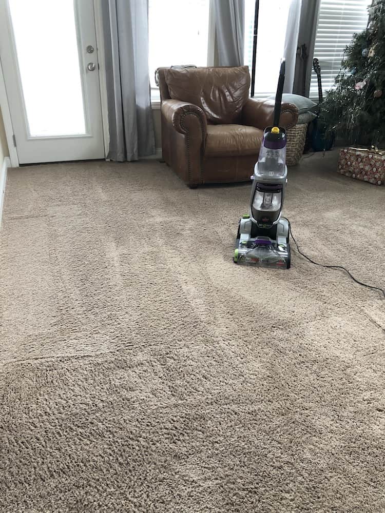 Using a ProHeat Pet BISSELL Carpet Cleaner? (Follow This Guide for Best Results)