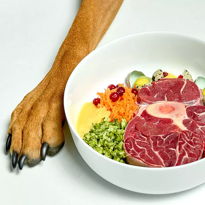 Running Low on Kibble? How to Make Emergency Pet Food at Home!
