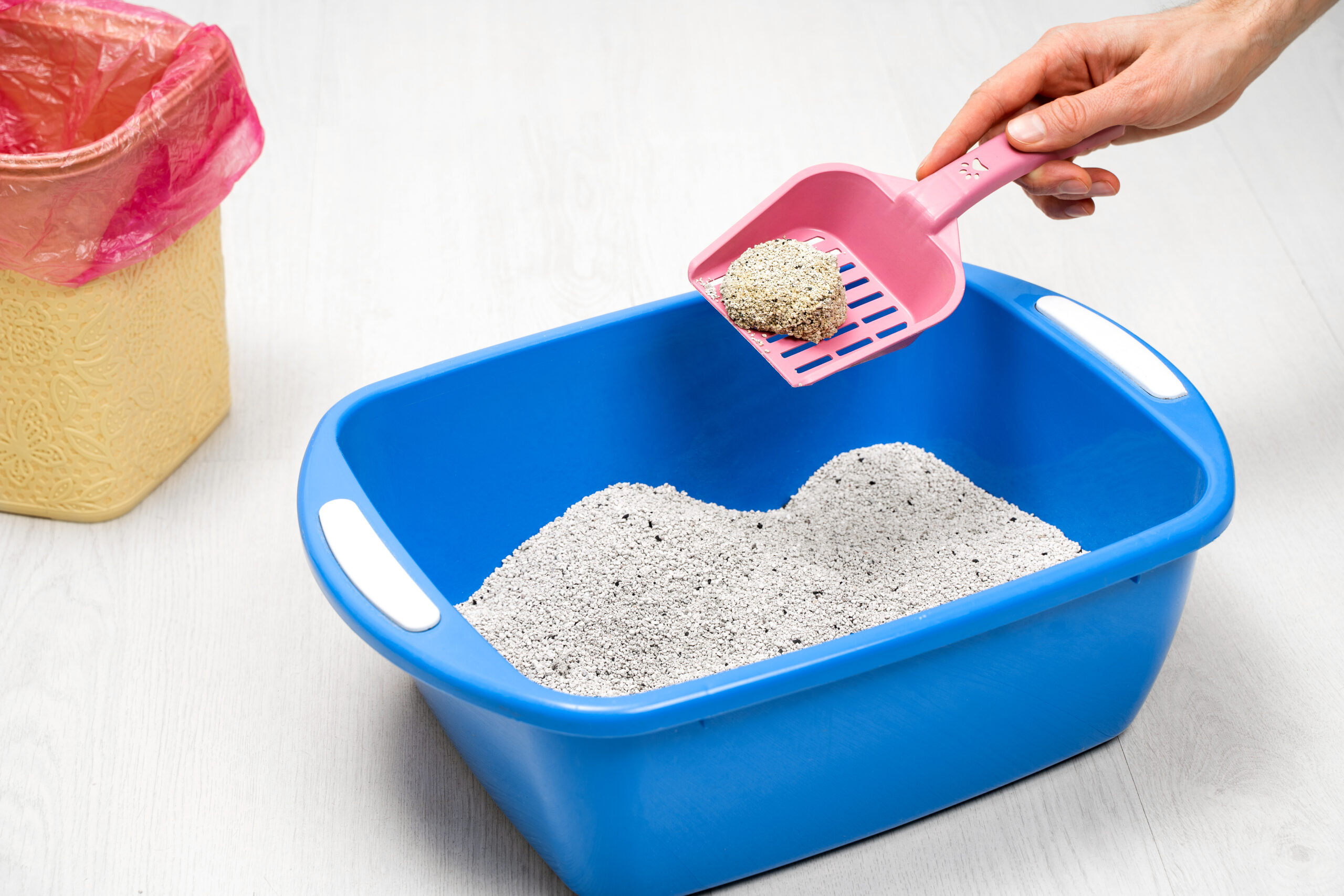 Cat Litter for Ice Melt: Does It Actually Work? Find Out Now!