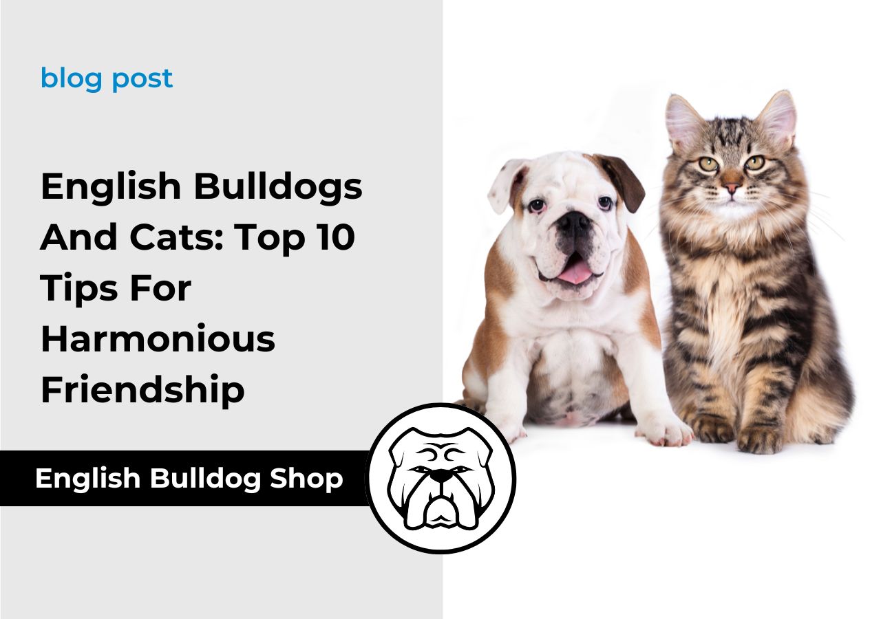 Cats and Bulldogs Living Together: Tips for a Happy Home!