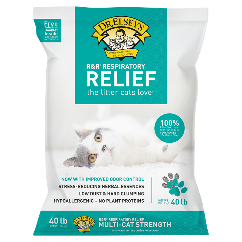 Best Cat Litter for Cats with Asthma: Low-Dust Litter for Healthier Breathing