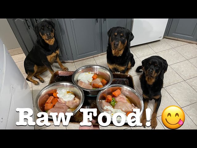 Raw Food Diet for Rottweilers: Is It Right for Your Dog?