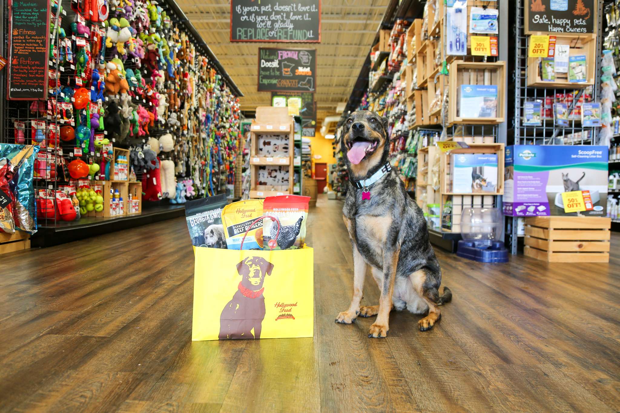 Where to Buy Pet Supplies Strongsville Ohio: Best Prices!