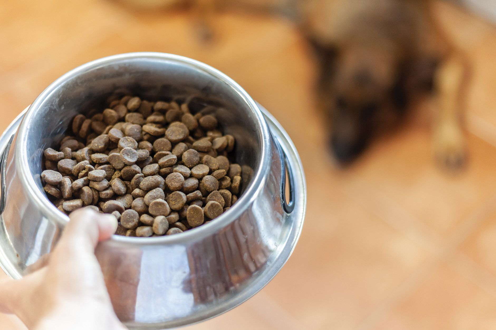 Best Dry White Fish Dog Food: Top Picks for a Healthy Pup!