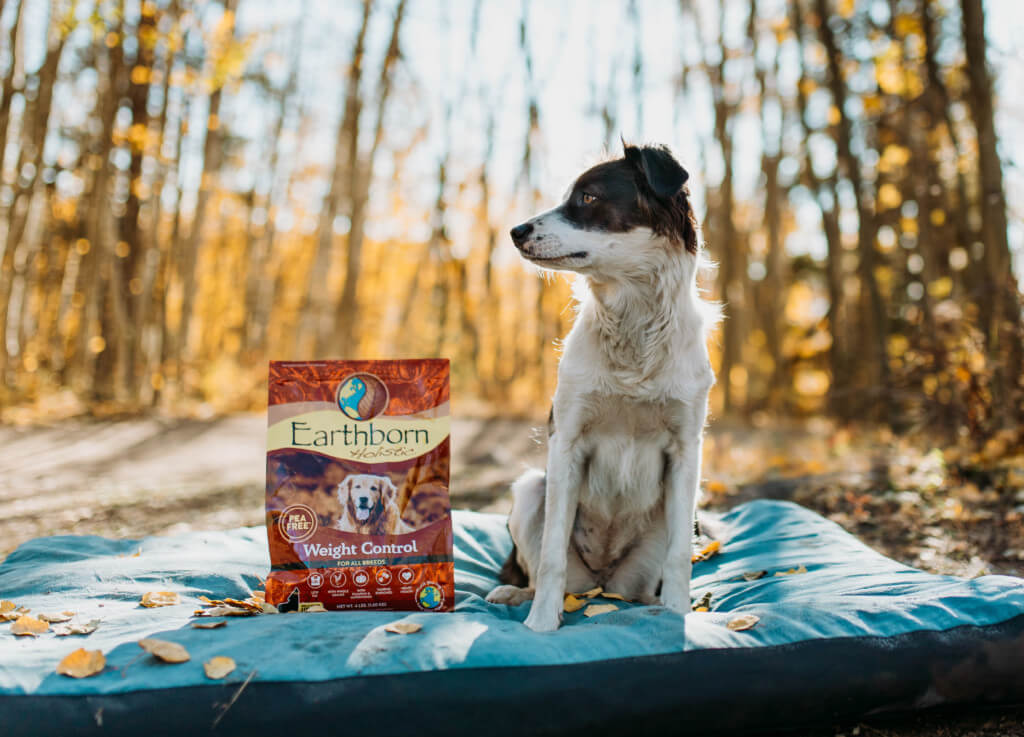 All About Earthborn Dog Food: Find Out If This Dog Food Is Good
