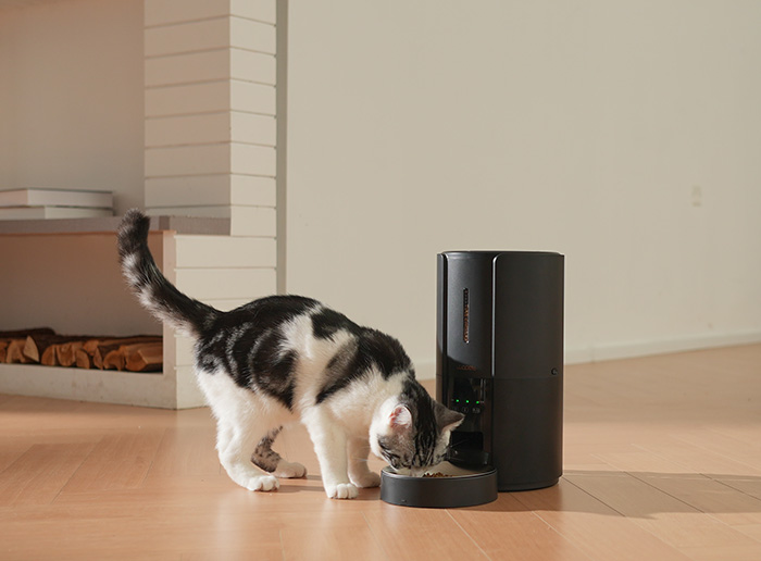 Troubleshooting Your nano automatic pet feeder manual: Easy Fixes for Common Problems