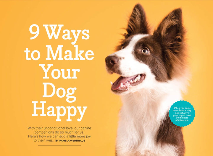 Free Canine Newsletter: Everything You Need! Tips to Keep Your Dog Happy