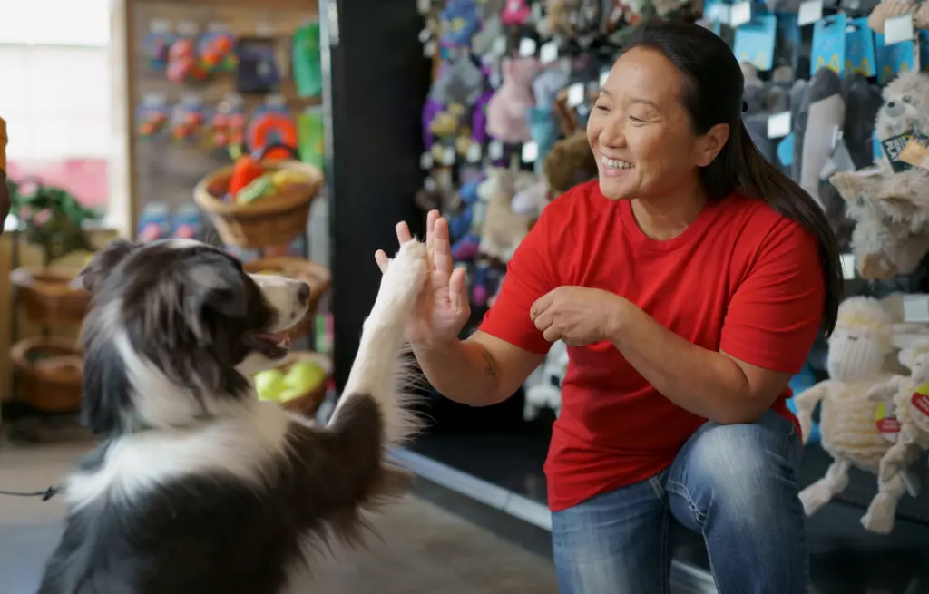 Looking for Pet Supplies Derby? Discover Great Options for All Your Pets Needs!