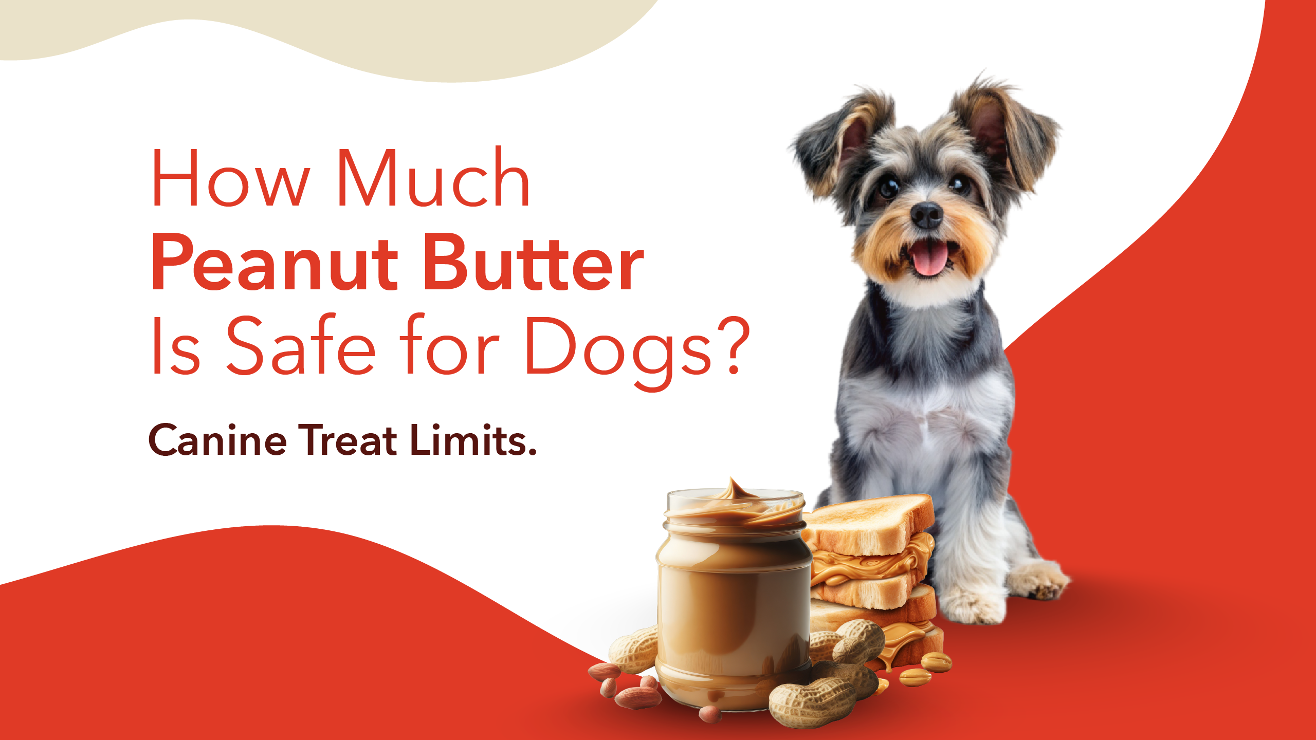 Peanut Butter Dog Food: How Much Is Too Much? Find the Right Amount for Your Dog!