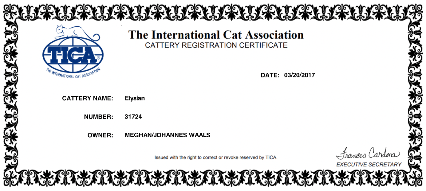 tica cattery registration cost and fees, learn about expenses before you register.
