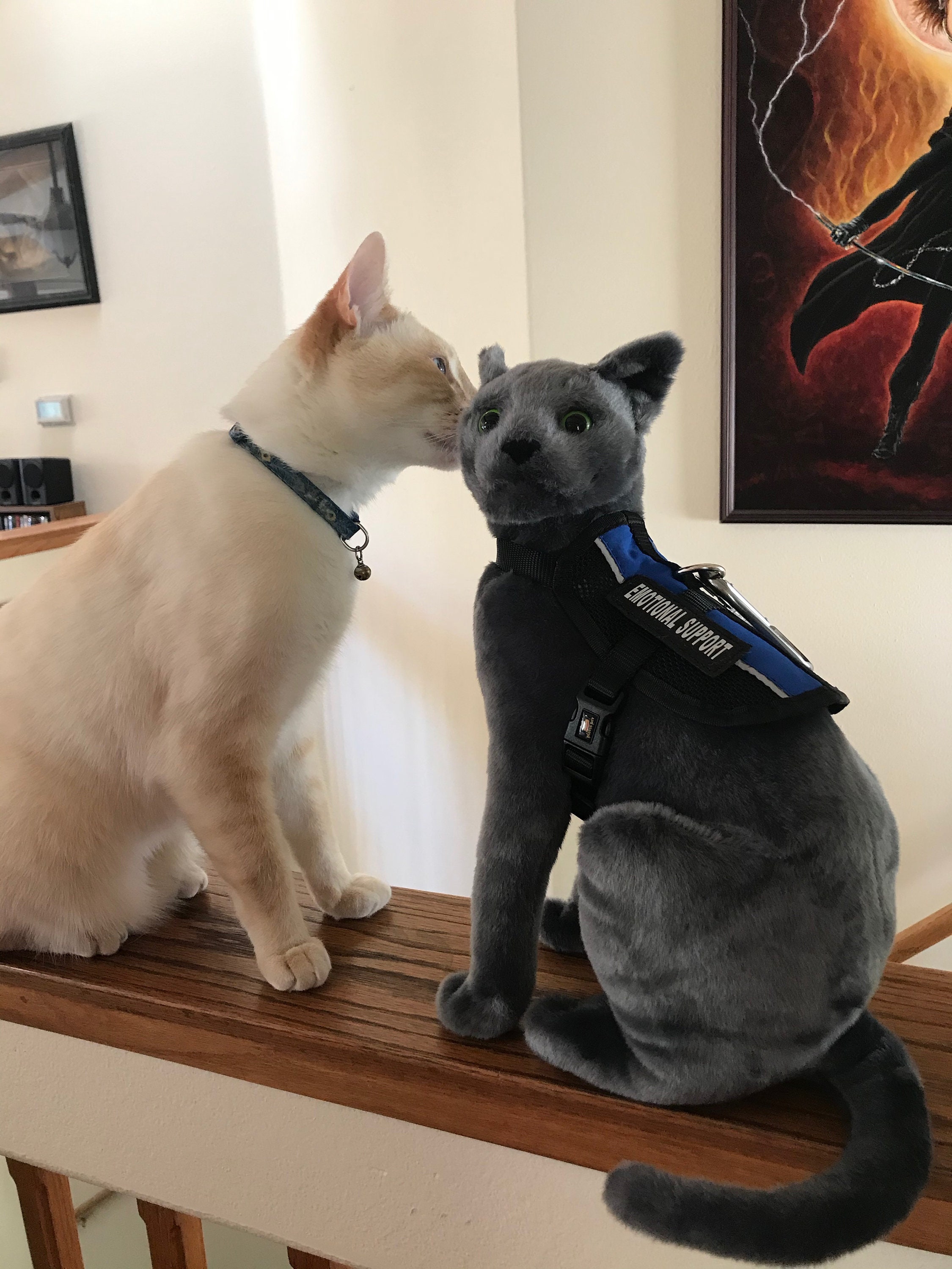 Russian Blue Cat Plush: Find the Perfect Cuddly Friend Today