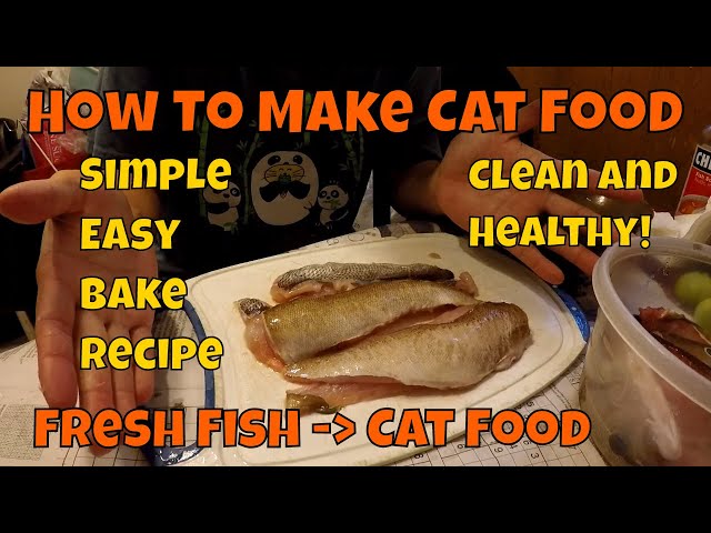 Best Cat Food Recipes With Fish: Quick and Delicious Dishes for a Happy Cat!