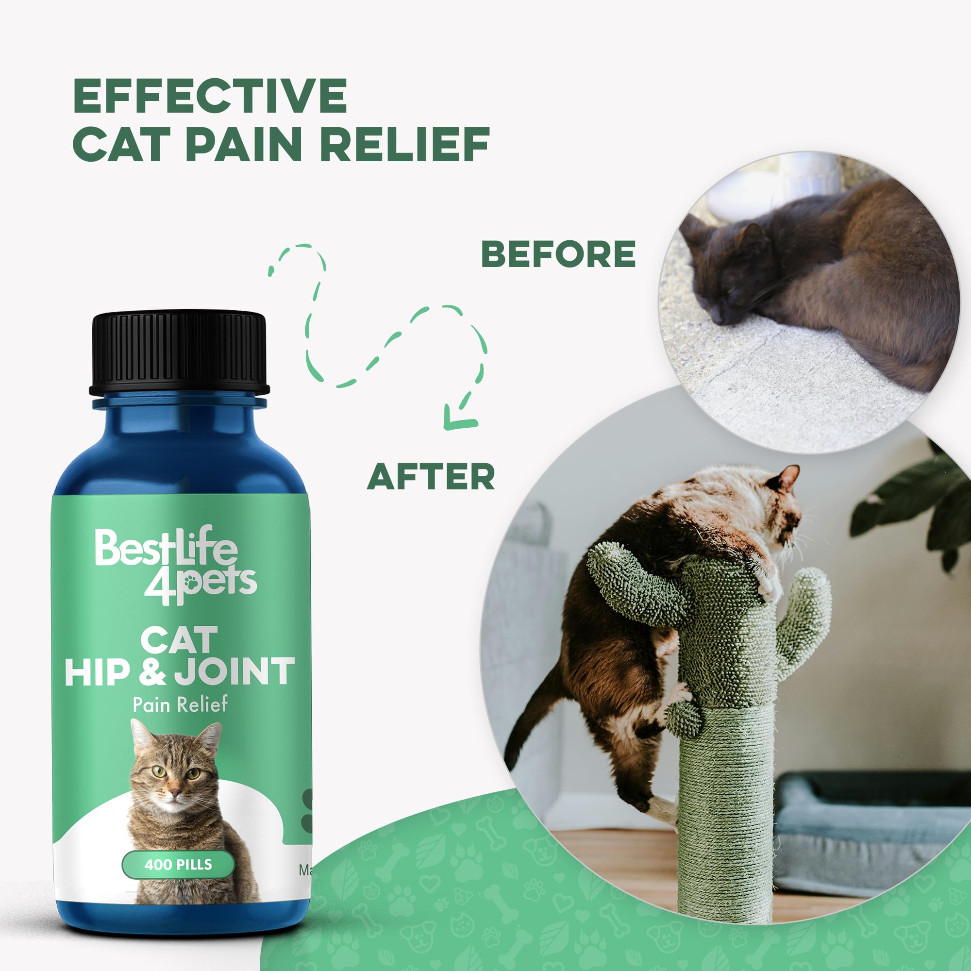 Natural Pain Relief for Cats: Simple Home Remedies That Actually Work for Pain