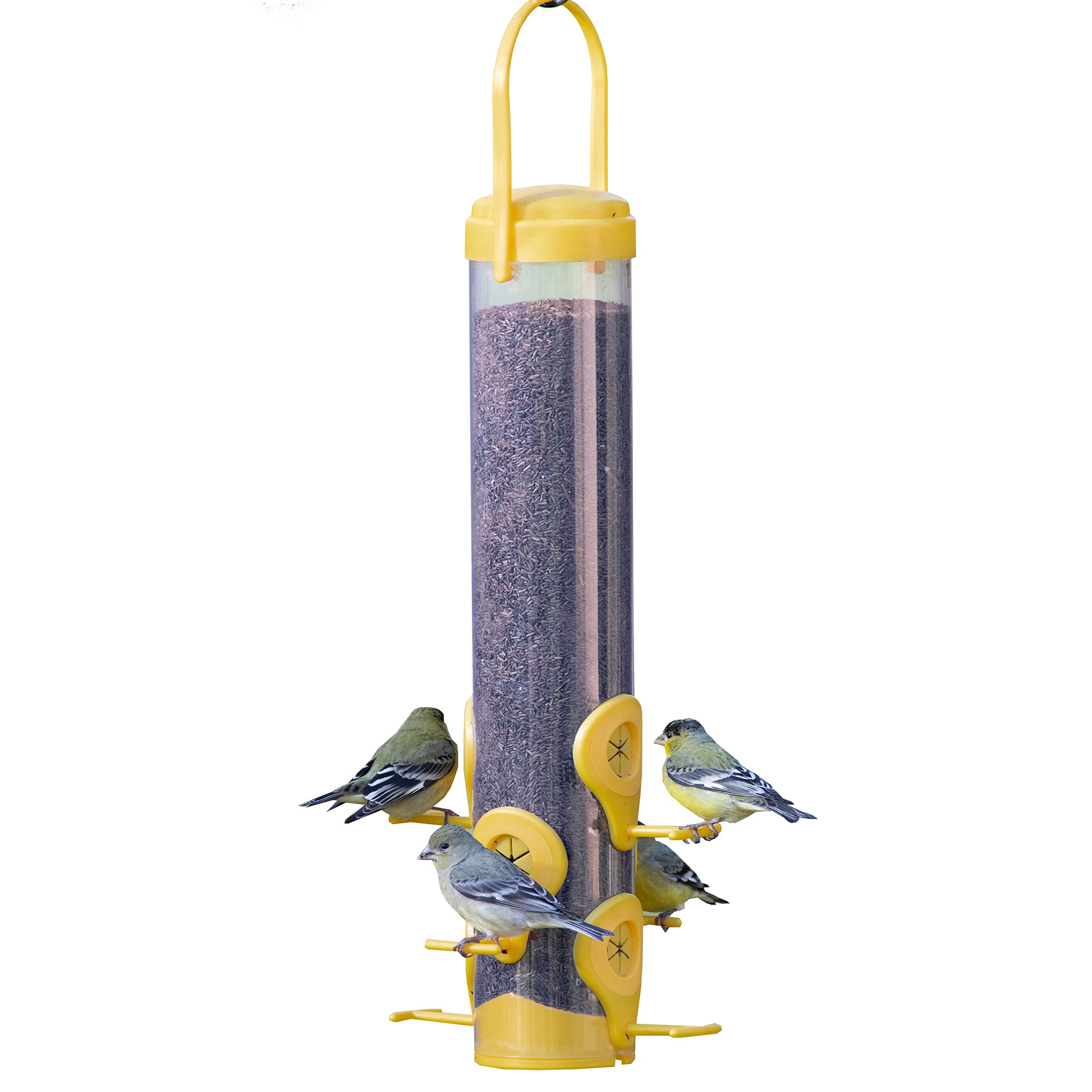 How to Choose the Best Perky Pet Finch Feeder? A Simple Buyers Guide for Bird Lovers!