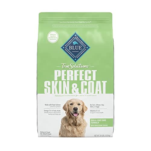 Itchy Dog? What Dog Food Is Best for Dogs with Allergies?