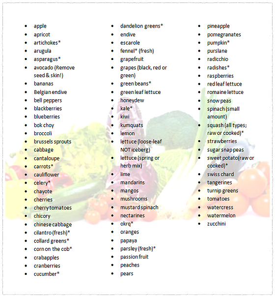 What to feed pet squirrels? Check this list of safe and yummy foods!