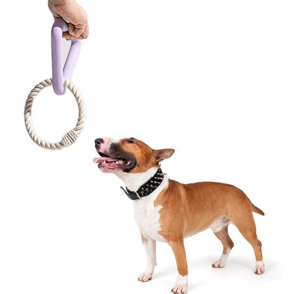 Is a Tug a War Rope for Dogs Safe Heres What You Need to Know