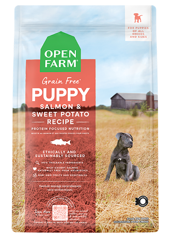 Salmon Based Dog Food: Is It Right for Your Pup? Find Out Here!