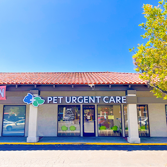 Pet Urgent Care in La Mesa: Find Quick Help for Your Furry Friend When They Need It Most!
