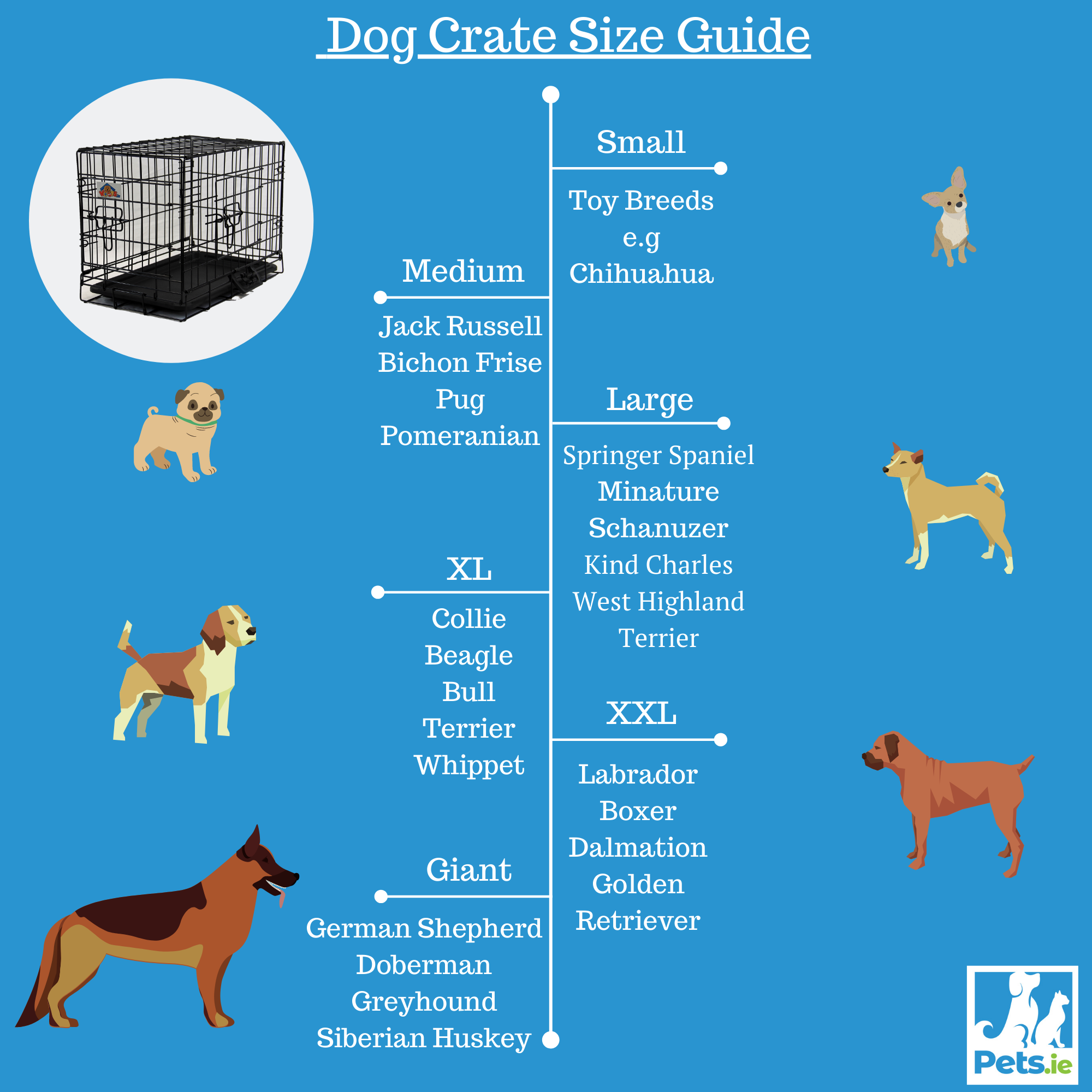 Choosing a kennel for lab? What size kennel for lab and how to pick!