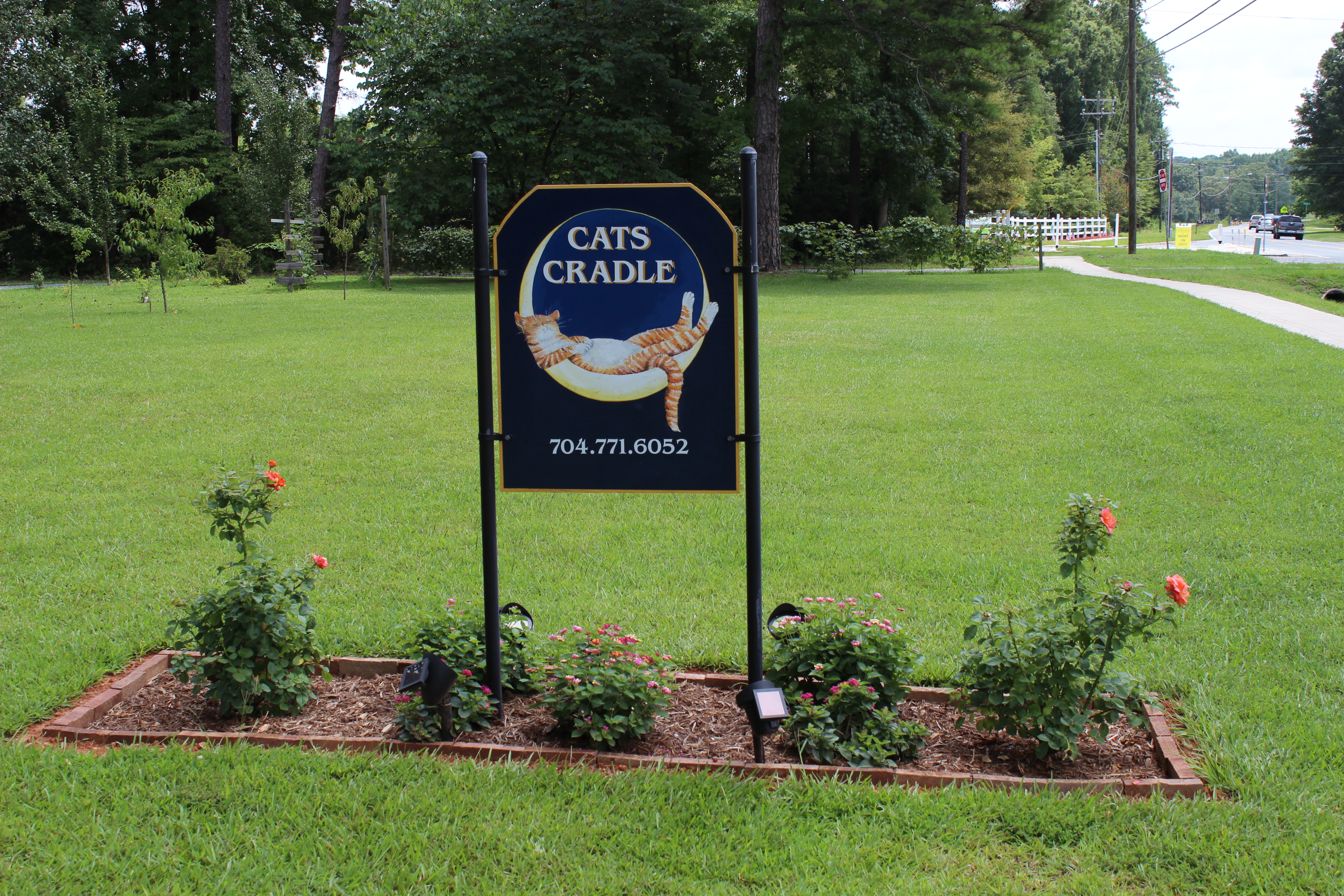 Cat Cradle Cattery: Your Kittys Home Away From Home!