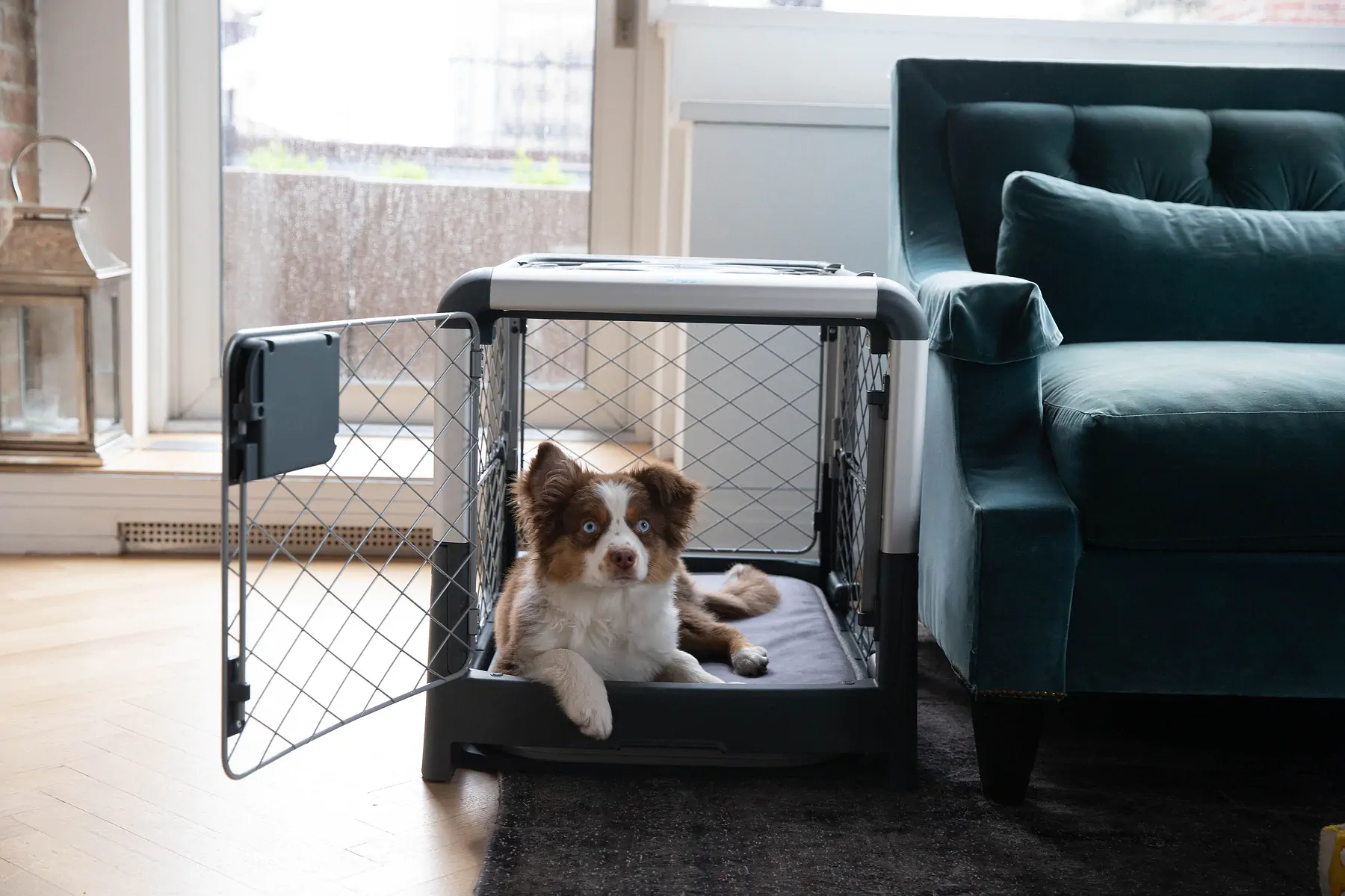 How to Stop Puppy From Peeing in Kennel (Simple Tips That Really Work)