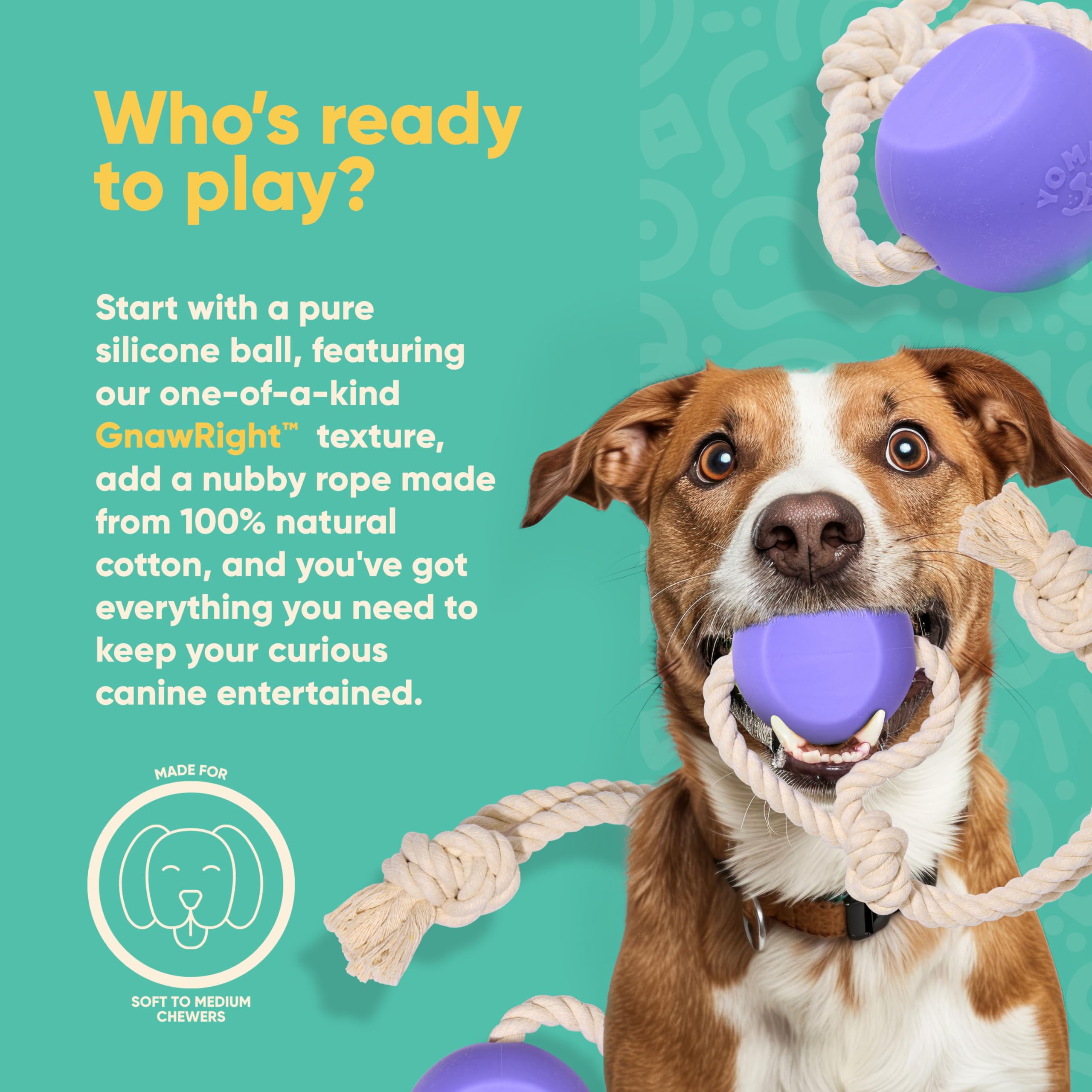 Dog rope with ball: Which one is the best toy for your dog?