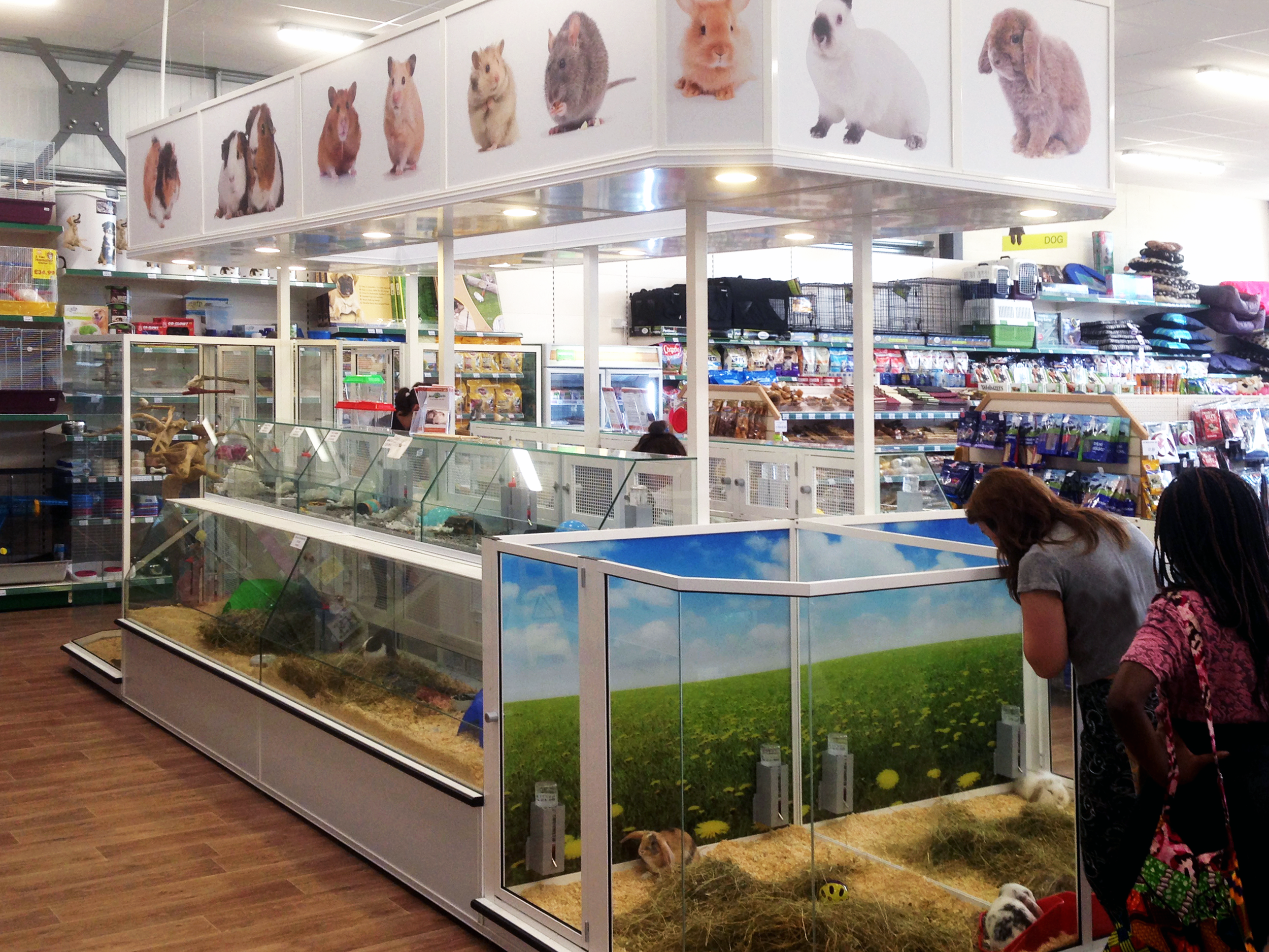 Casco Pet Supplies Review: Are They Worth Your Money?