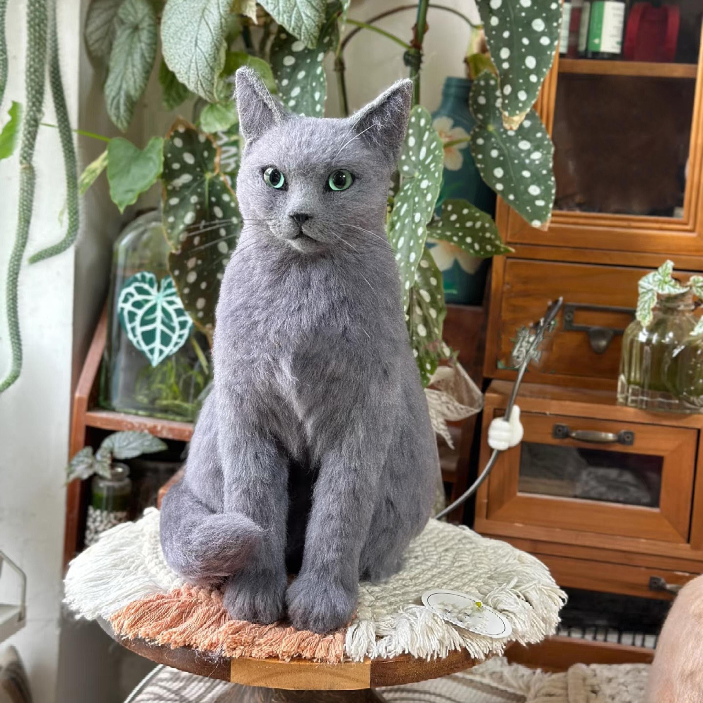 Stuffed Russian Blue Cat: Where to Find the Perfect One? (Plush Toy Guide for Cat Lovers)