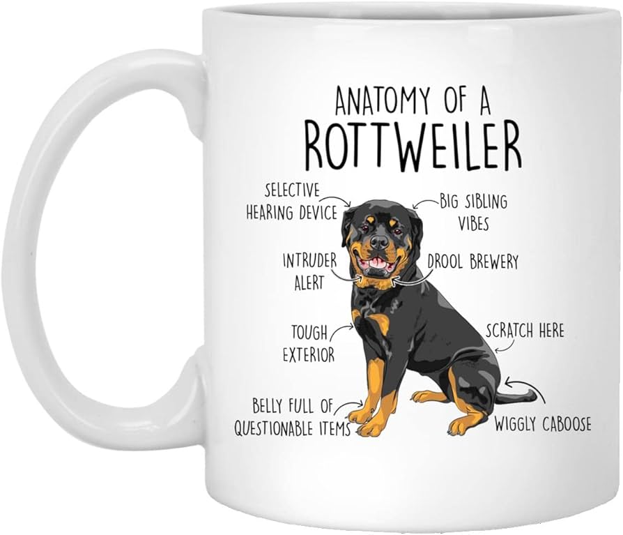 Rottweiler Cups: Where to Find Them and Why You Need One Now