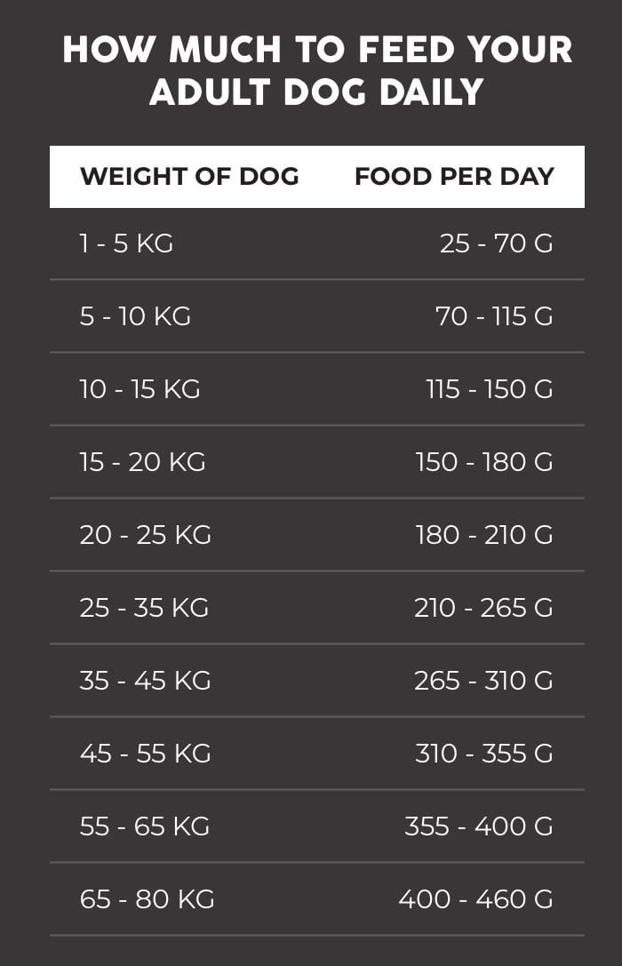 Siberian Husky Feeding: How Much Food Should a Siberian Husky Eat Every Day?