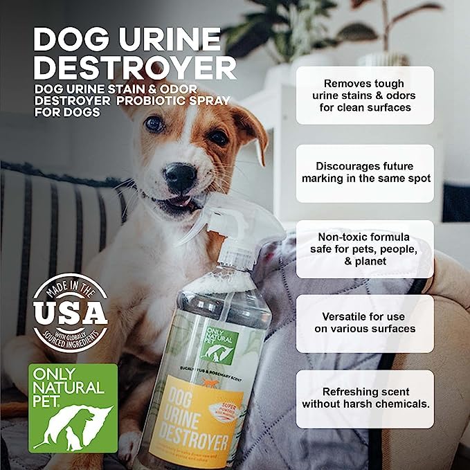 Natural Pet Cleaner: How to Choose the Right One for Your Furry Friend