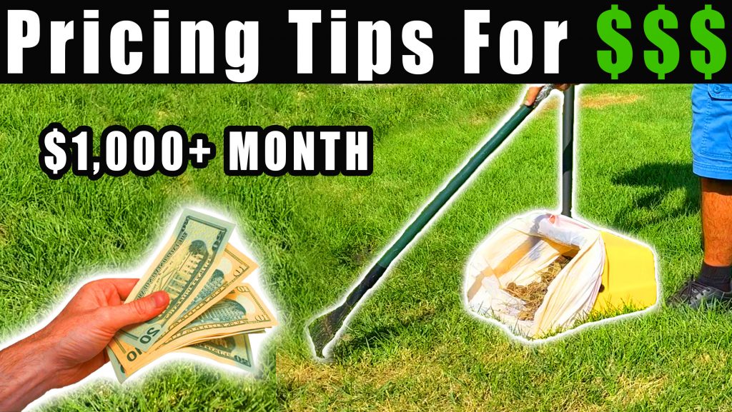Pet Cleaning Services Cost: Get the Best Value for Your Money