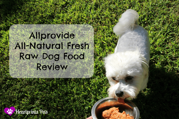 All Provide Pet Food Reviews: What Are Real Pet Owners Saying?