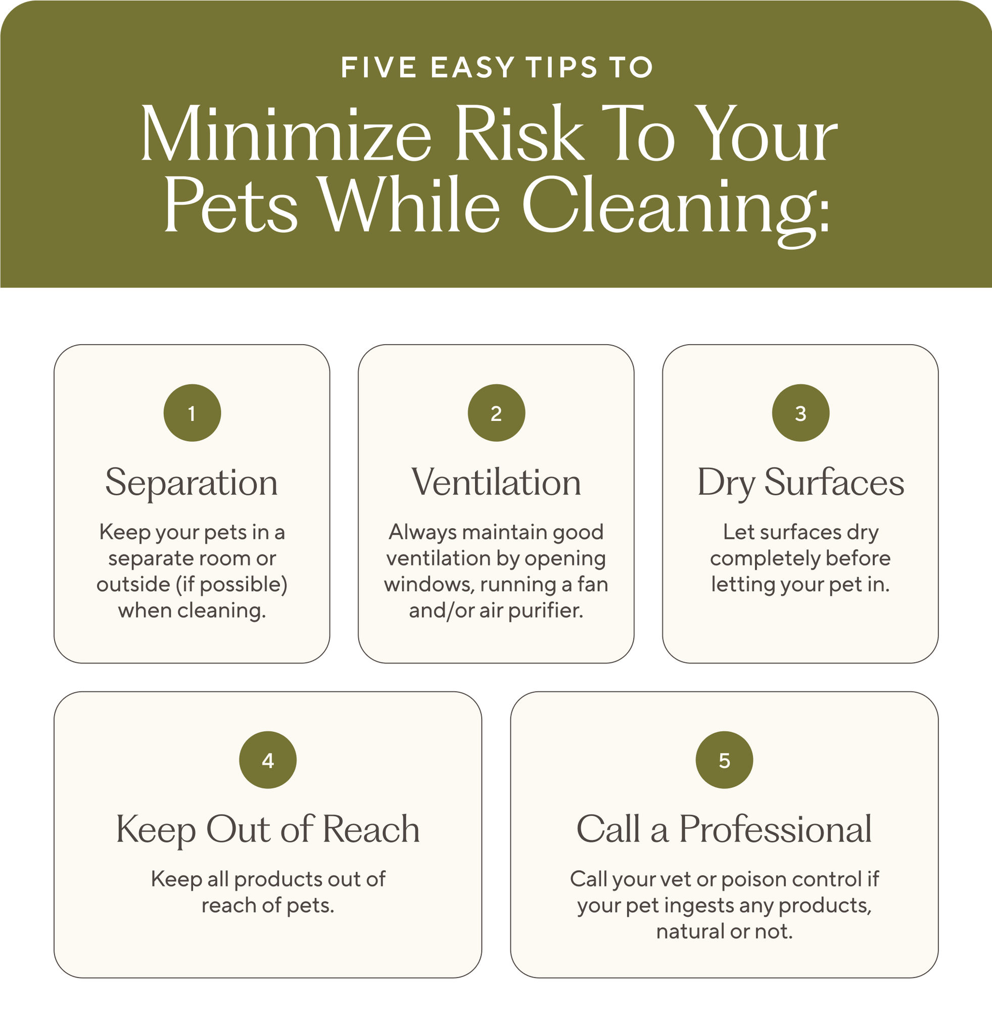 Using a Floor Cleaner Pet Safe: Tips and Tricks.