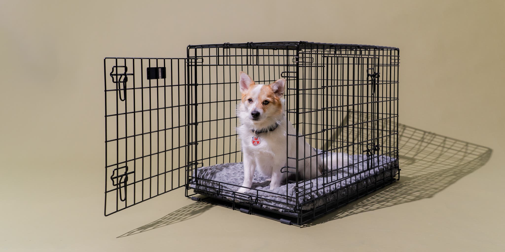 Best Crate for Golden Retriever: Ultimate Guide for Cozy Comfort!