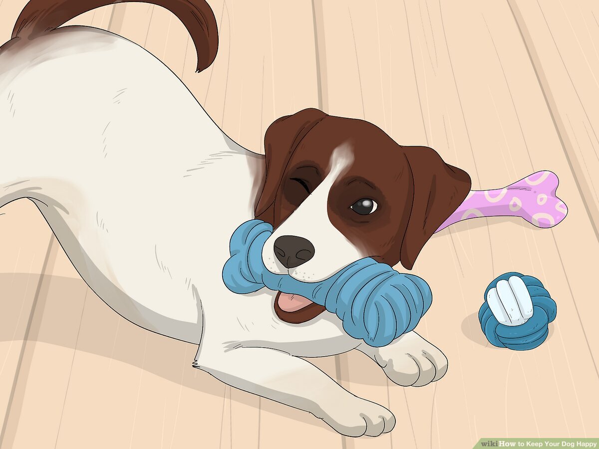 Free Canine Newsletter: Everything You Need! Tips to Keep Your Dog Happy
