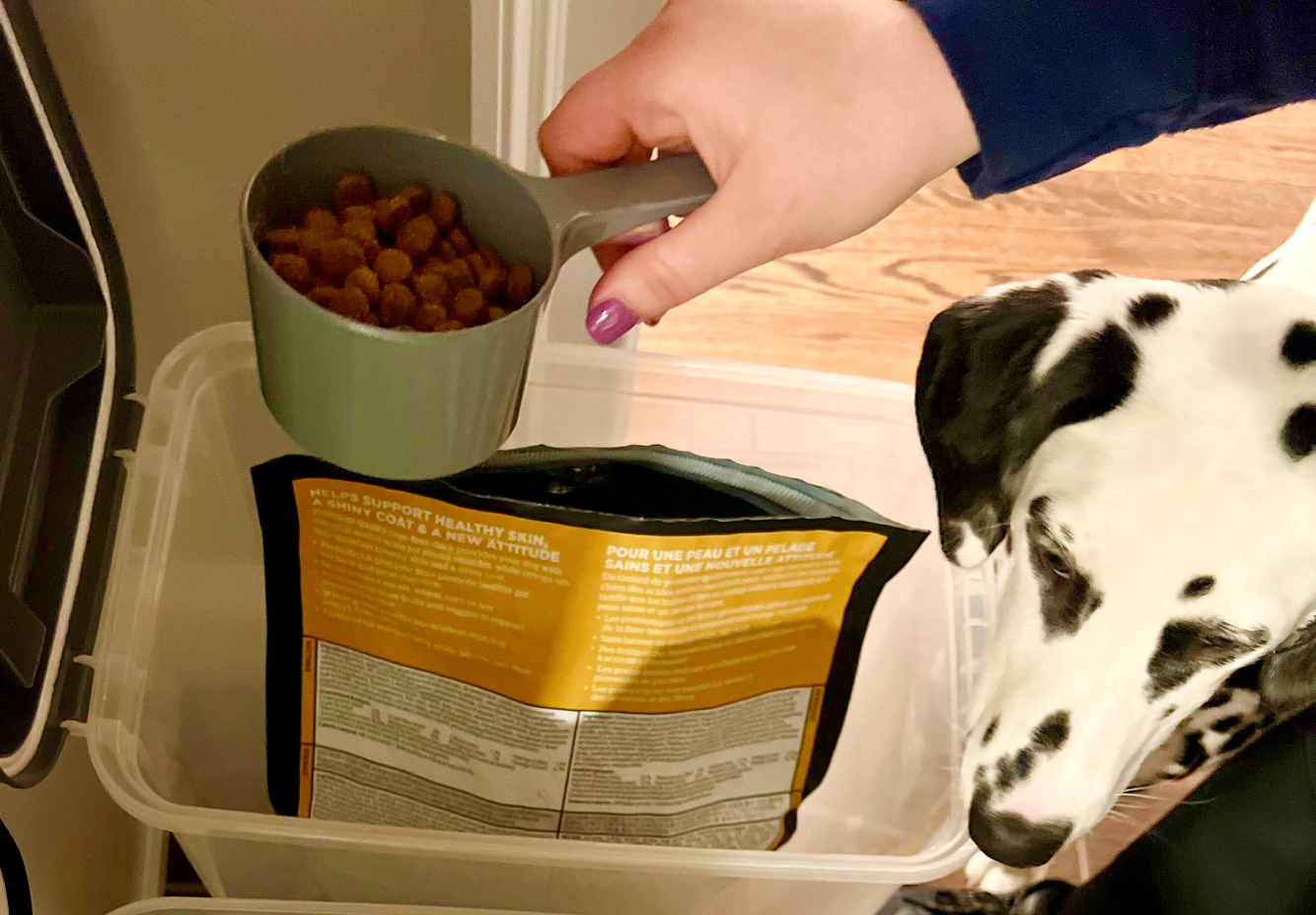 Why You Need a Measuring Cup for Pet Food: Feed Accurately