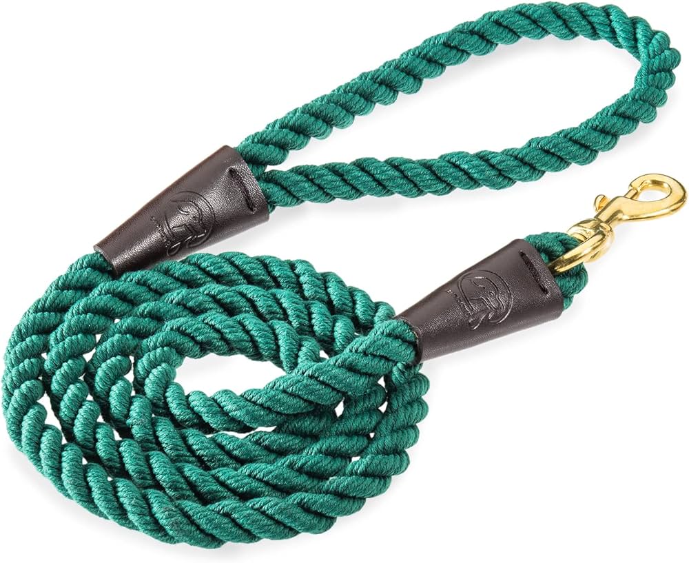 Where to Buy a Durable Braided Rope Dog Leash? Check Out These Stores!