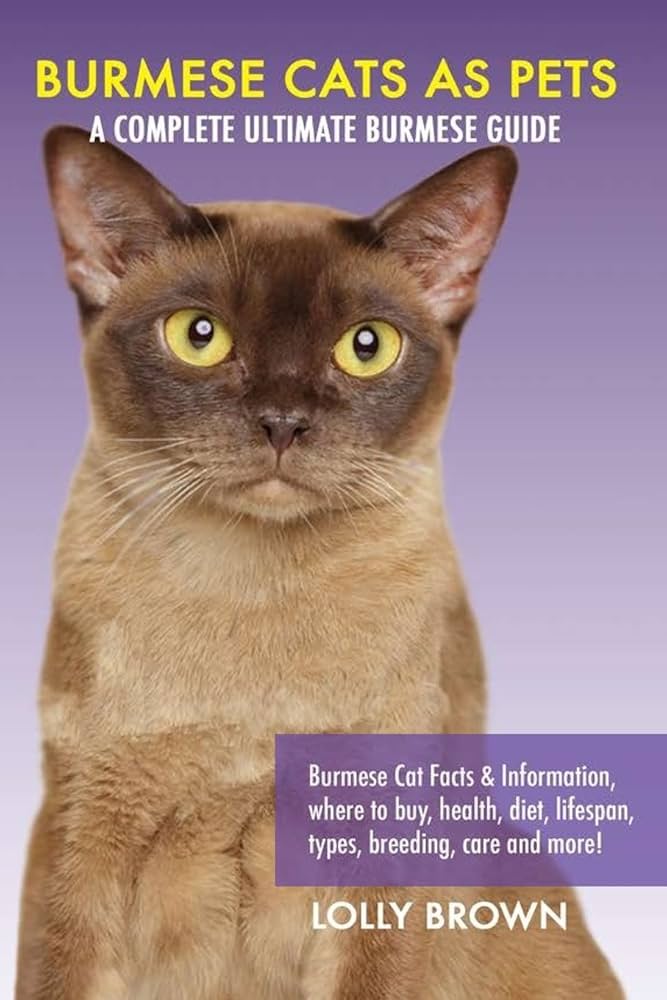 Burmese Cattery: The Ultimate Guide to Choosing the Right Burmese Breeder