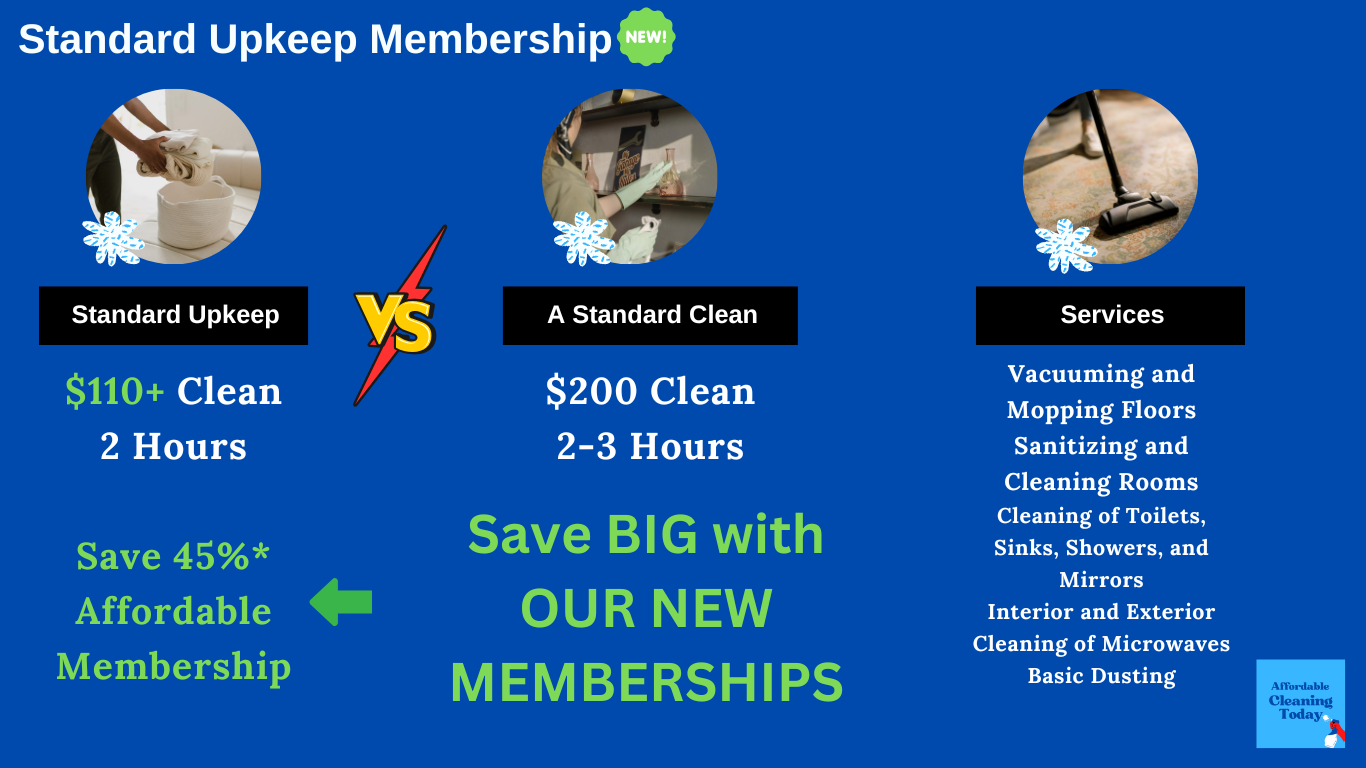 Affordable Rug Cleaning St Pete: Get a Free Quote for a Deep Clean Today