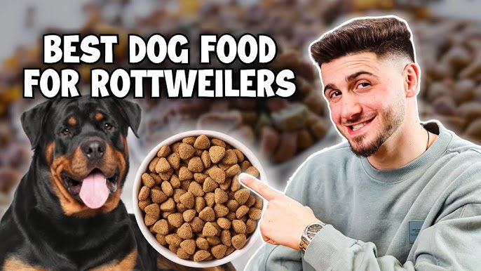 Best Dry Food for Rottweiler? Find the Perfect Kibble Here!